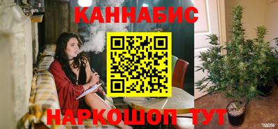 стафф Краснознаменск