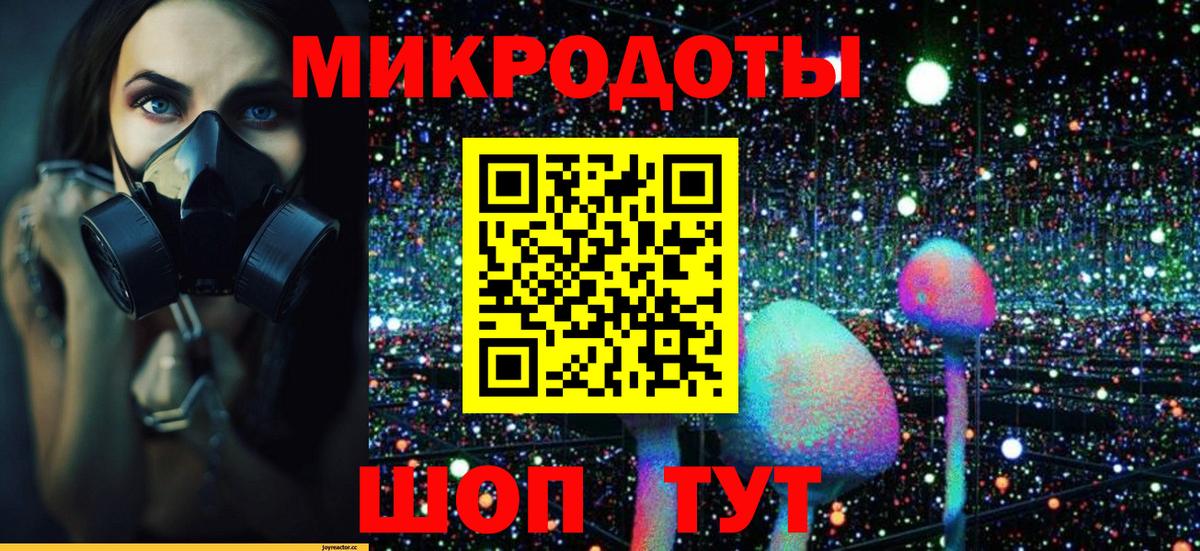 Коряжма  Псилоцибиновые грибы GOLDEN TEACHER  Вход с VPN 