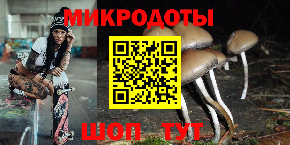 Псилоцибиновые грибы Psilocybe Коряжма